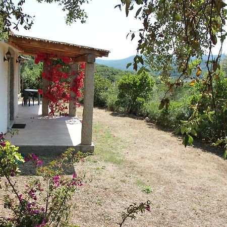 La Puntaccina Villa Aglientu Dış mekan fotoğraf