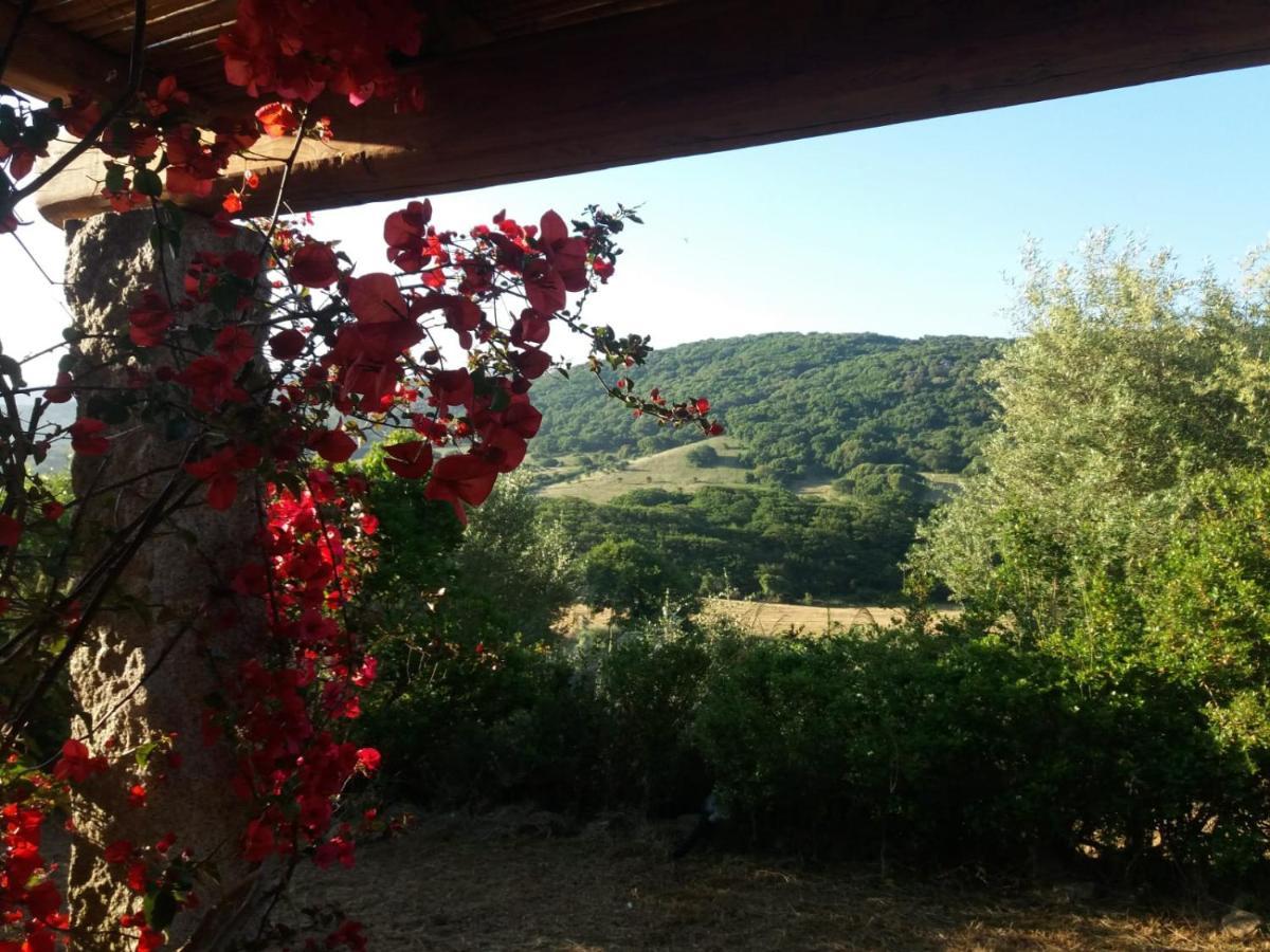 La Puntaccina Villa Aglientu Dış mekan fotoğraf
