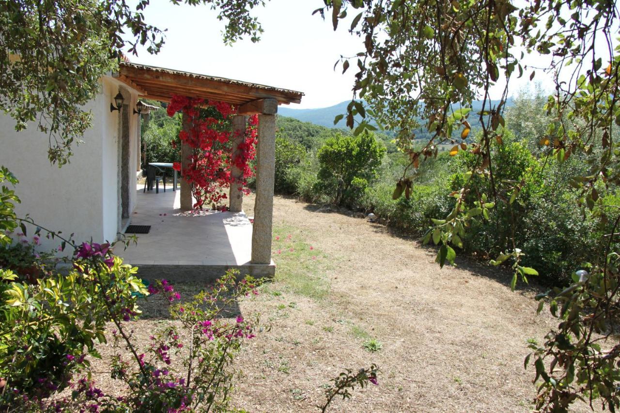 La Puntaccina Villa Aglientu Dış mekan fotoğraf