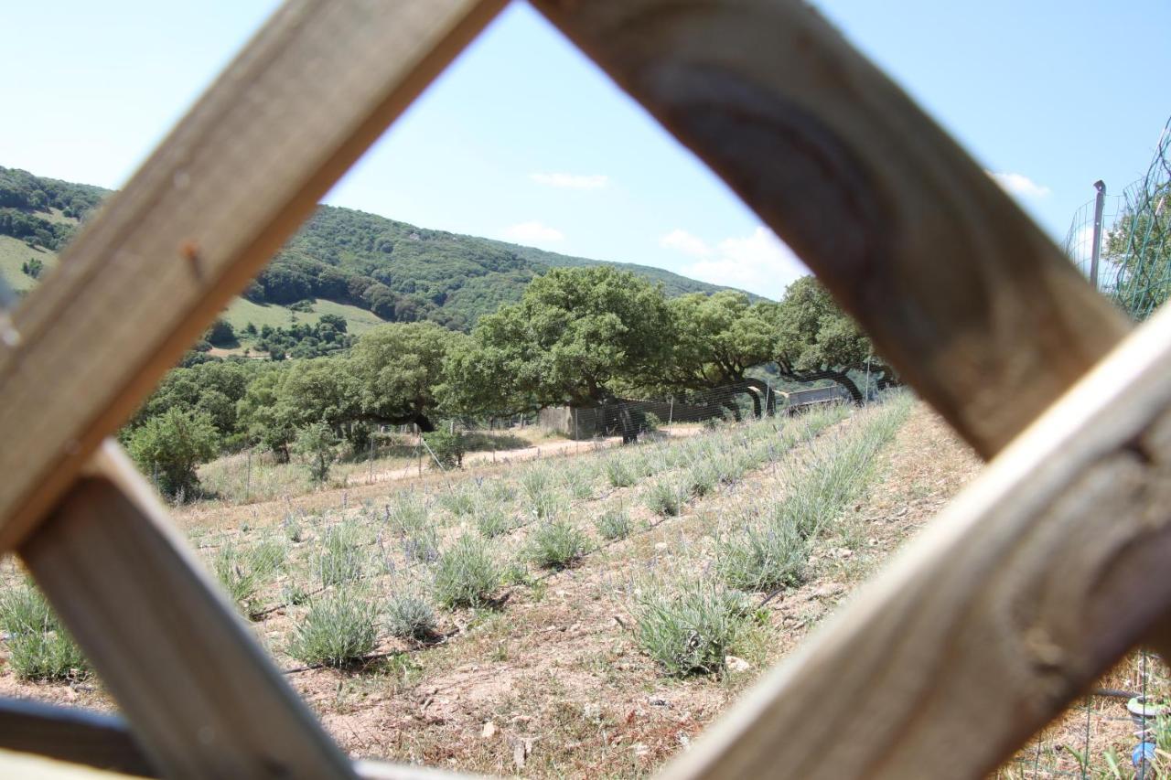 La Puntaccina Villa Aglientu Dış mekan fotoğraf