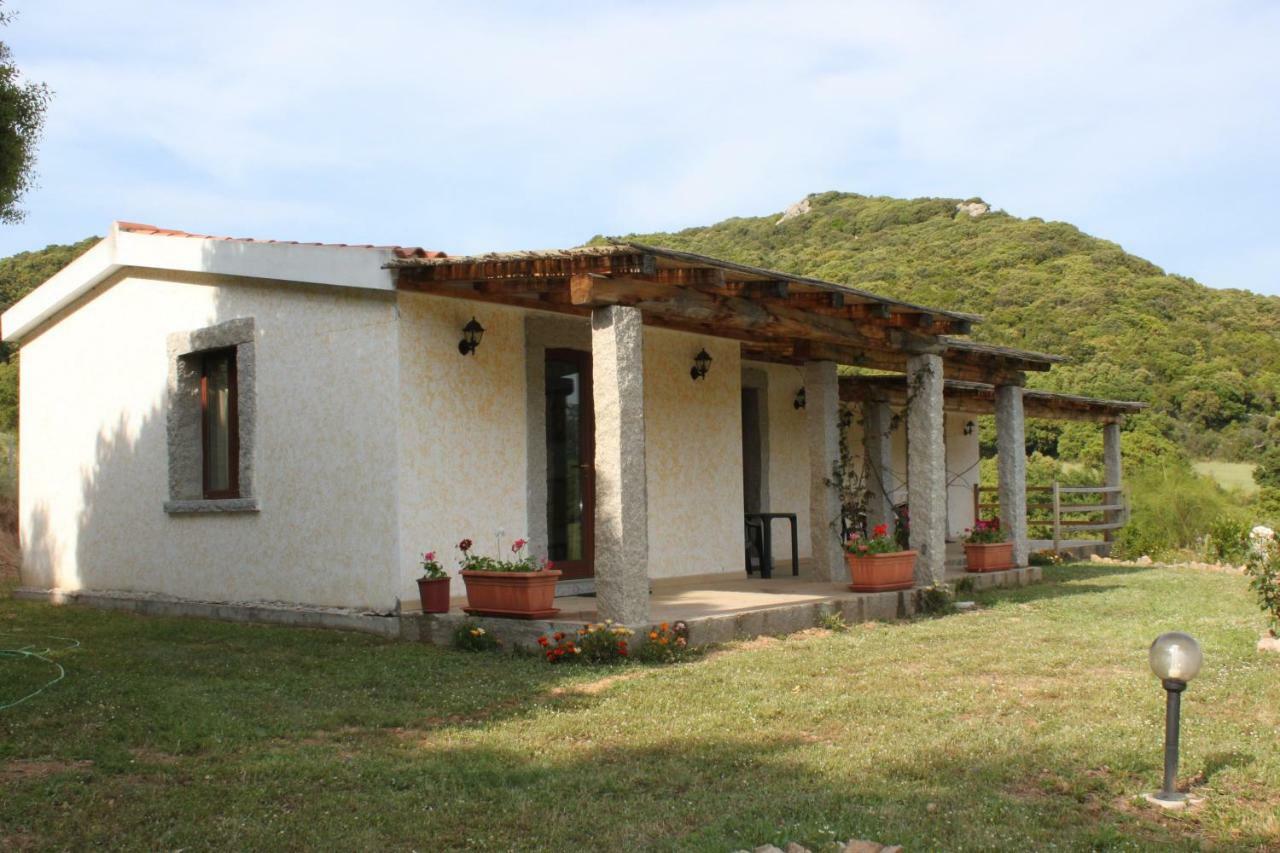 La Puntaccina Villa Aglientu Dış mekan fotoğraf