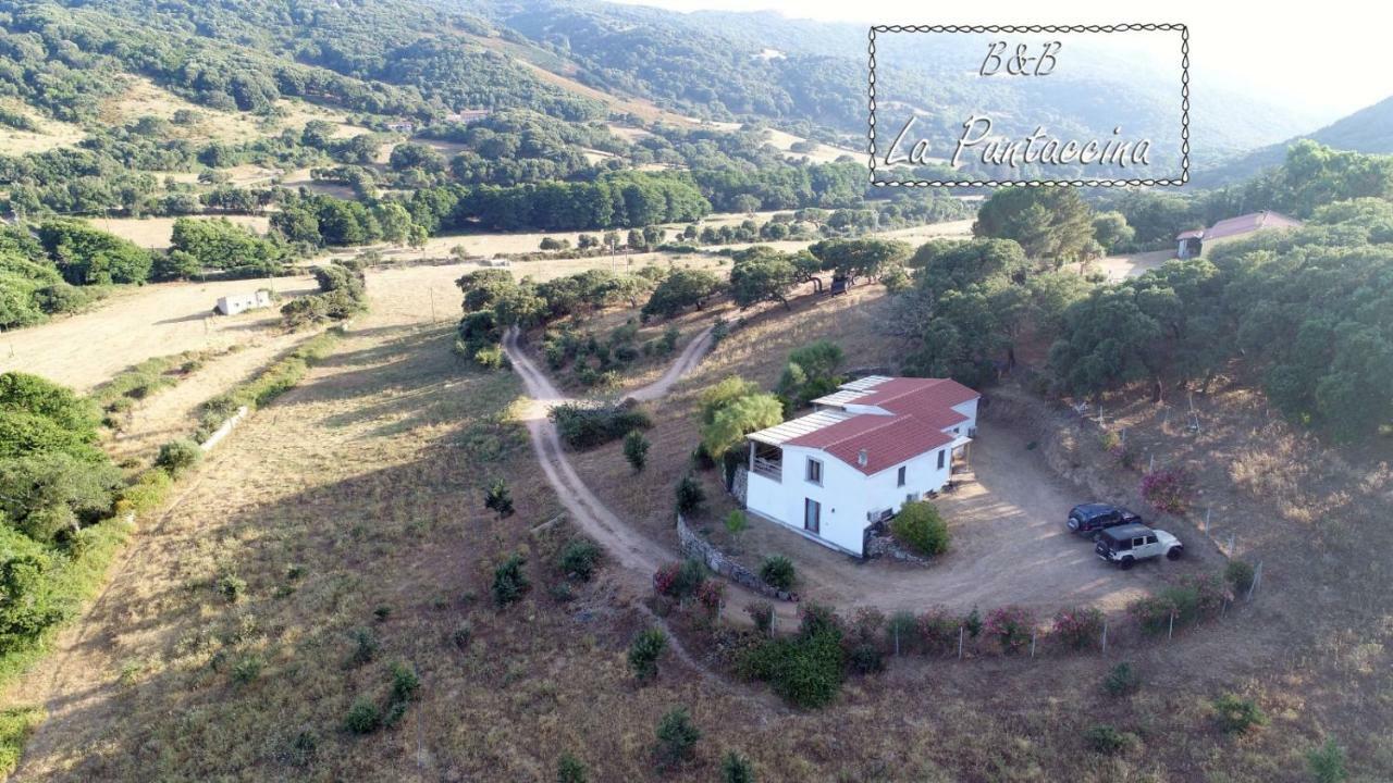 La Puntaccina Villa Aglientu Dış mekan fotoğraf